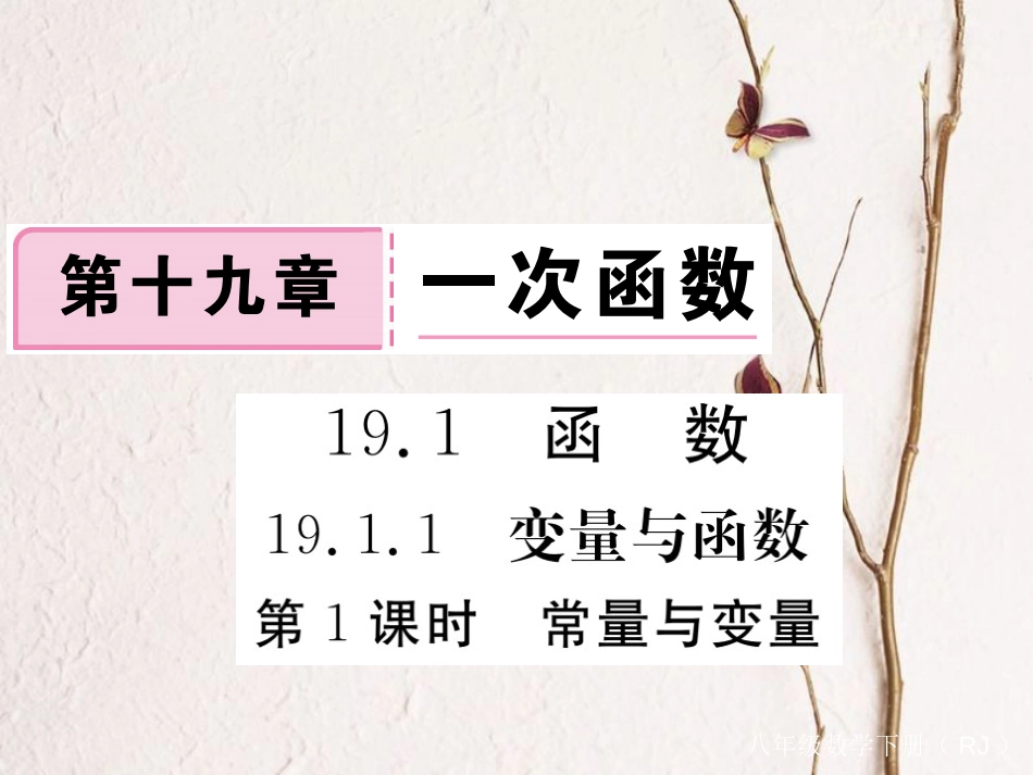 江西省八年级数学下册 第十九章 一次函数 19.1 变量与函数 19.1.1 变量与函数 第1课时 常量与变量练习课件 （新版）新人教版_第1页