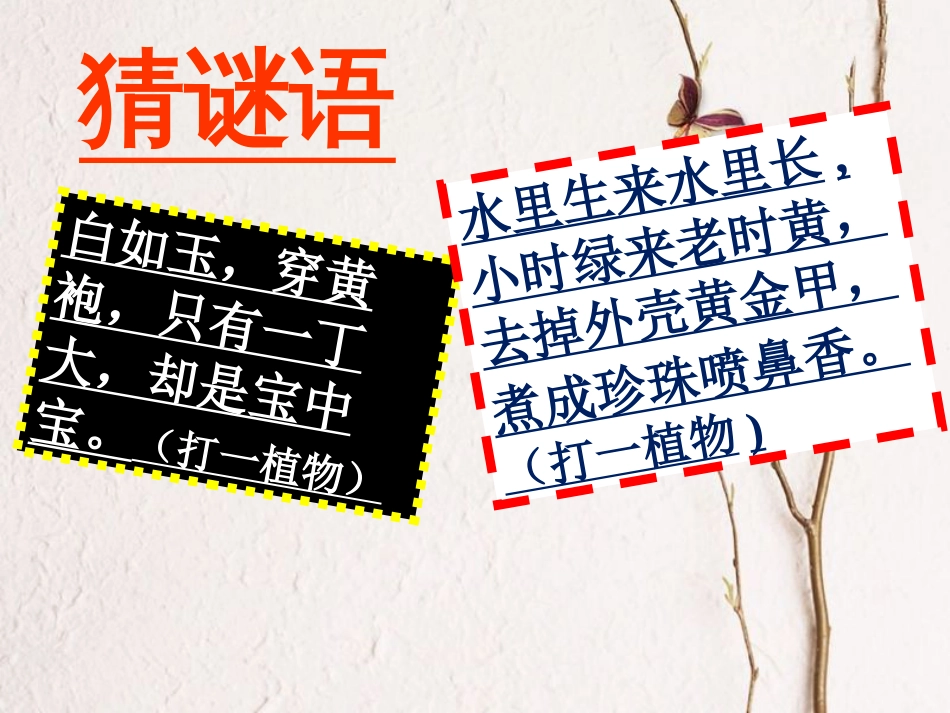 七年级历史上册 第2课《原始农耕生活》课件1 中图版_第2页