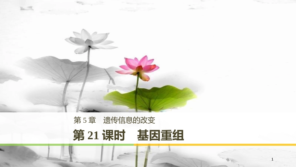 高中生物 第5章 遗传信息的改变 第21课时 基因重组课件 北师大版必修2_第1页