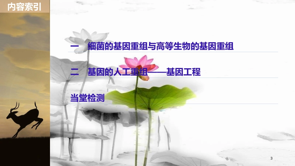 高中生物 第5章 遗传信息的改变 第21课时 基因重组课件 北师大版必修2_第3页