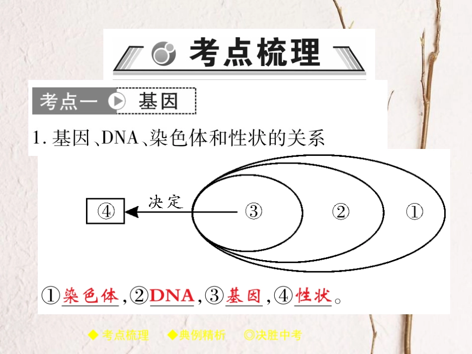 中考生物总复习 专题突破六 生物的繁殖、发育与遗传 第3讲课件(1)_第2页