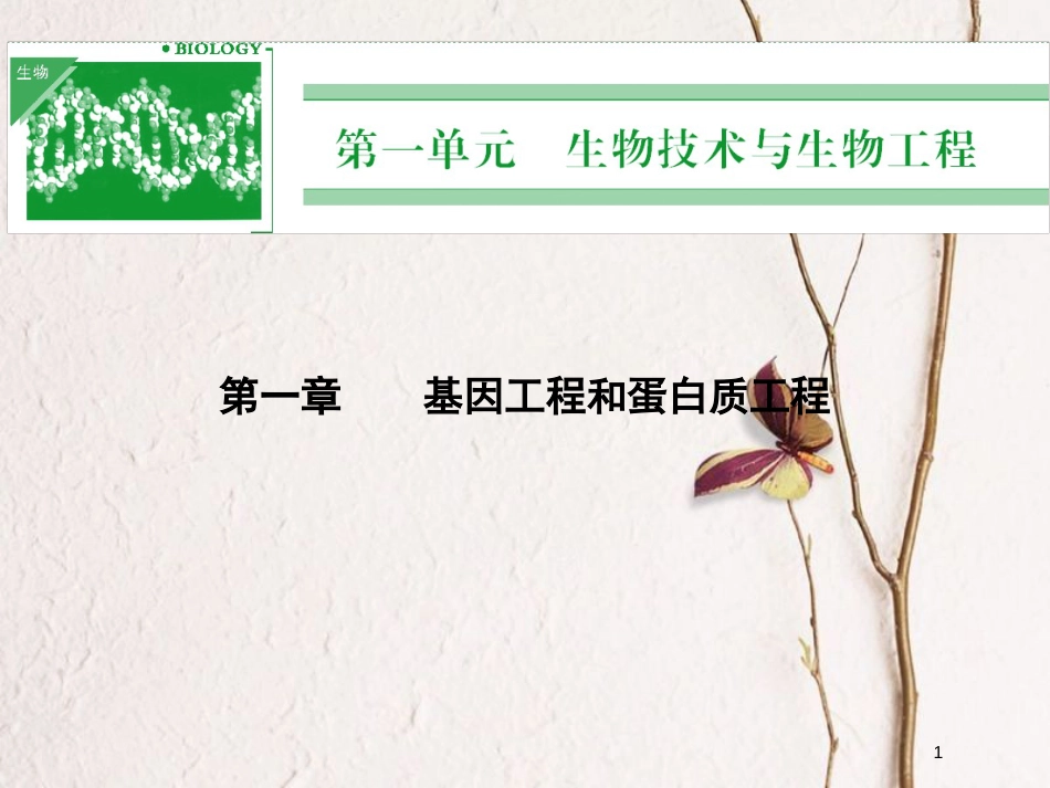 高中生物 第一单元 生物技术与生物工程 第一章 基因工程和蛋白质工程 1.1.1 基因工程的原理课件 中图版选修3_第1页
