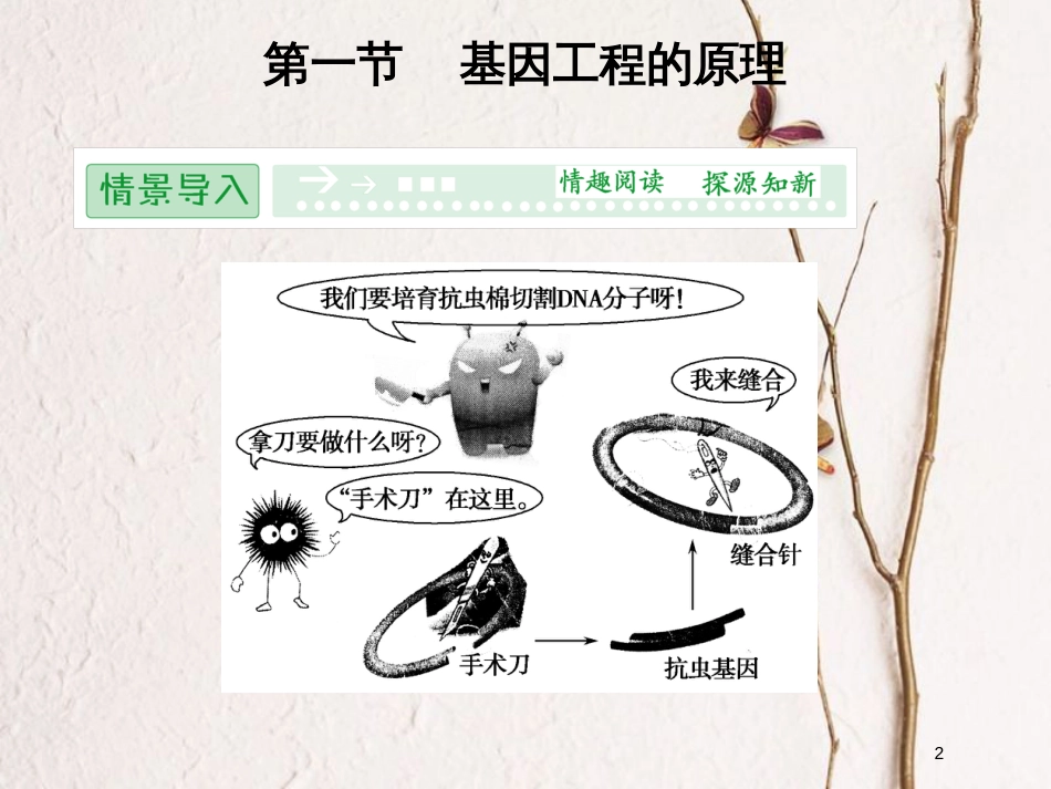 高中生物 第一单元 生物技术与生物工程 第一章 基因工程和蛋白质工程 1.1.1 基因工程的原理课件 中图版选修3_第2页