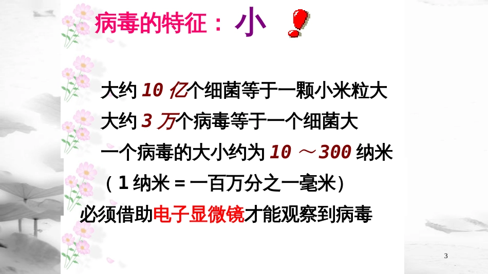 江西省万载县八年级生物上册 5.1.2病毒课件 （新版）冀教版_第3页