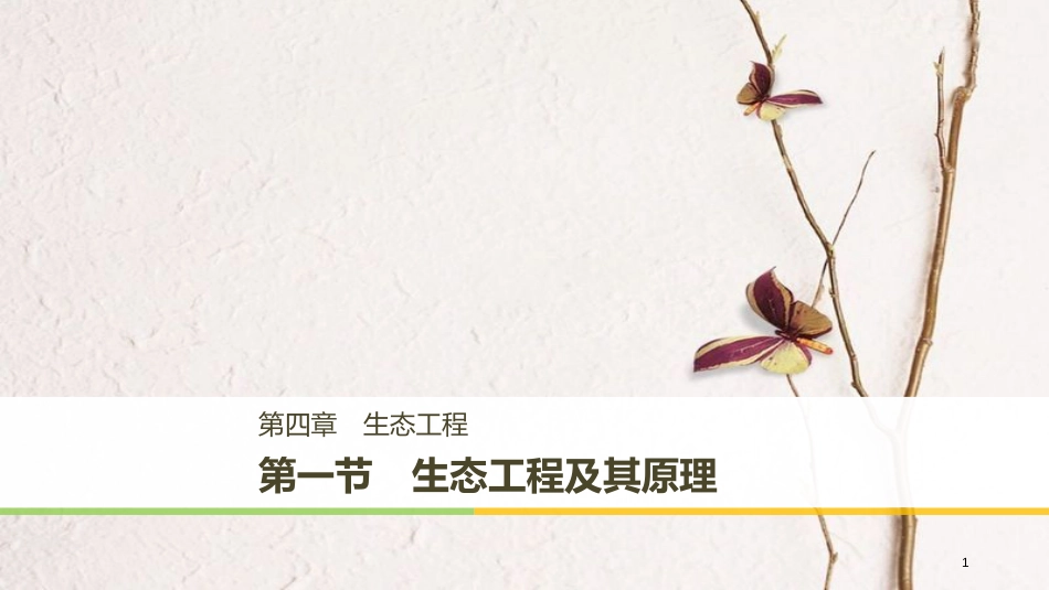 高中生物 第四章 生态工程 4.1 生态工程及其原理课件 苏教版选修3_第1页