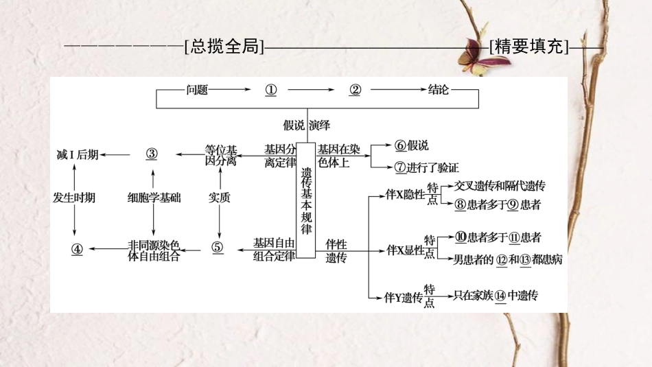 高三生物一轮复习 第5单元 单元高效整合课件 新人教版必修2_第2页