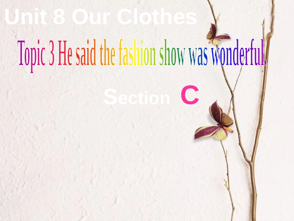 广东省清远市佛冈县龙山镇八年级英语下册 Unit 8 Our Clothes Topic 3 He said the fashion show was wonderful Section C课件 （新版）仁爱版_第1页