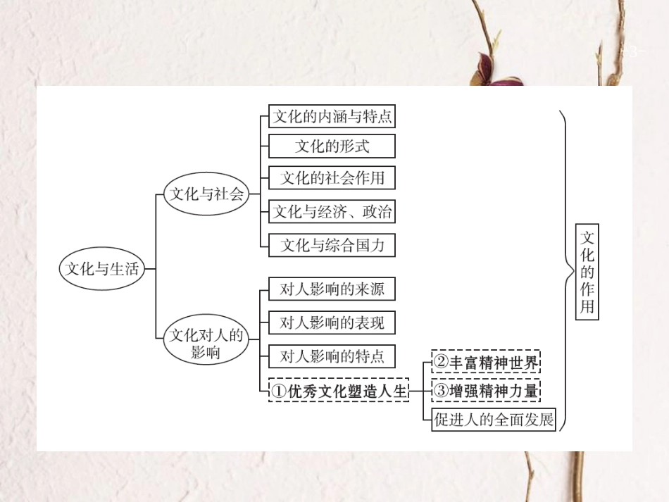 2019高三政治一轮复习 第一单元 文化与生活 1 文化与社会课件 新人教版必修3[共41页]_第3页