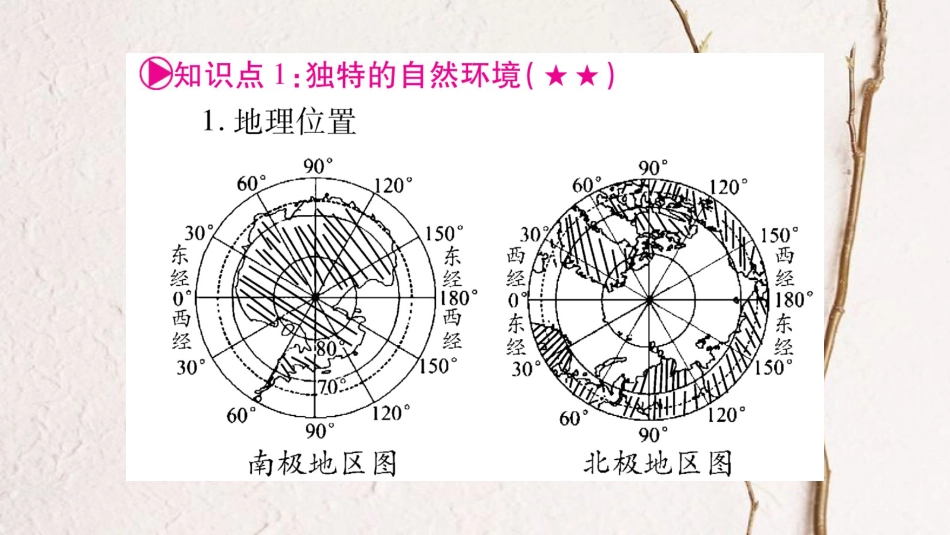 （人教版通用）中考地理总复习 七下 第10章 极地地区课件_第2页