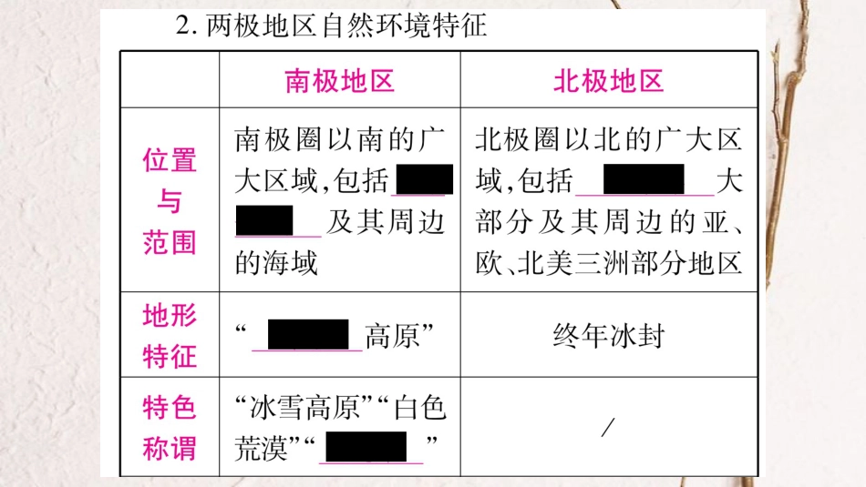 （人教版通用）中考地理总复习 七下 第10章 极地地区课件_第3页