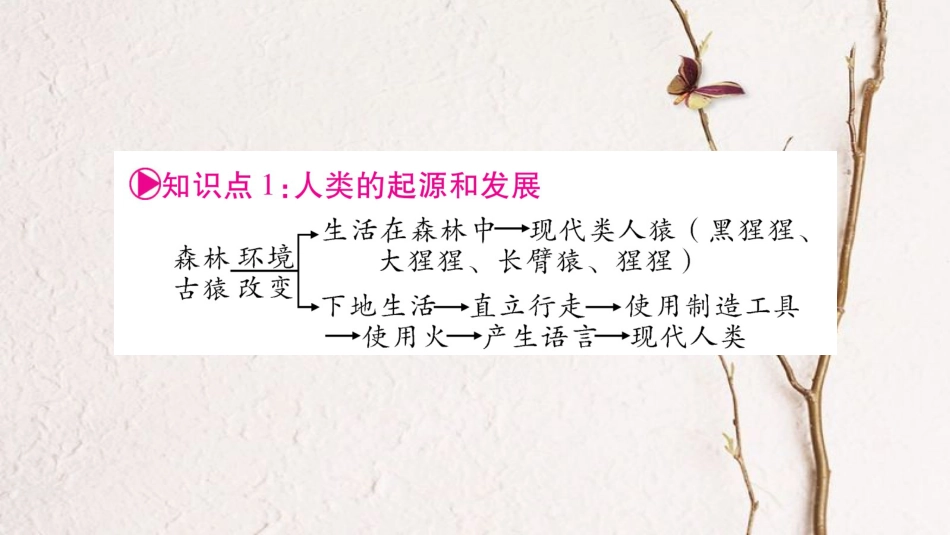 中考生物总复习 教材考点梳理 七下 第4单元 第1章 人的由来课件 新人教版(1)_第2页