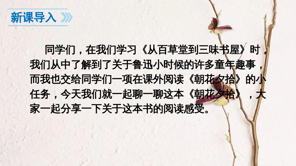 七年级语文上册 第三单元 名著导读课件 新人教版(1)_第3页