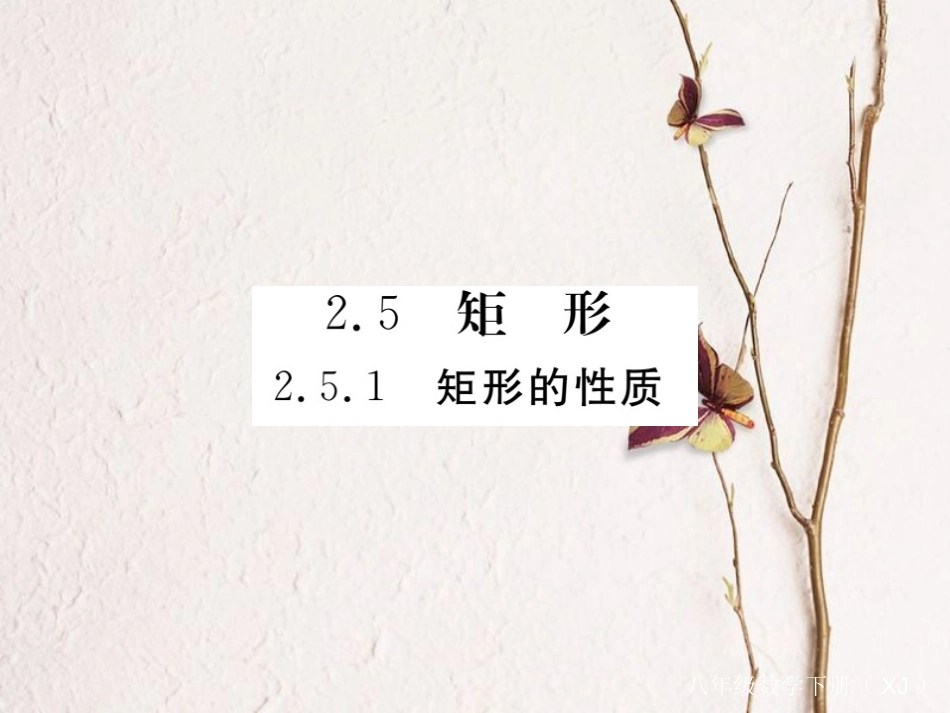 八年级数学下册 第二章 四边形 2.5 矩形 2.5.1 矩形的性质导学课件 （新版）湘教版_第1页