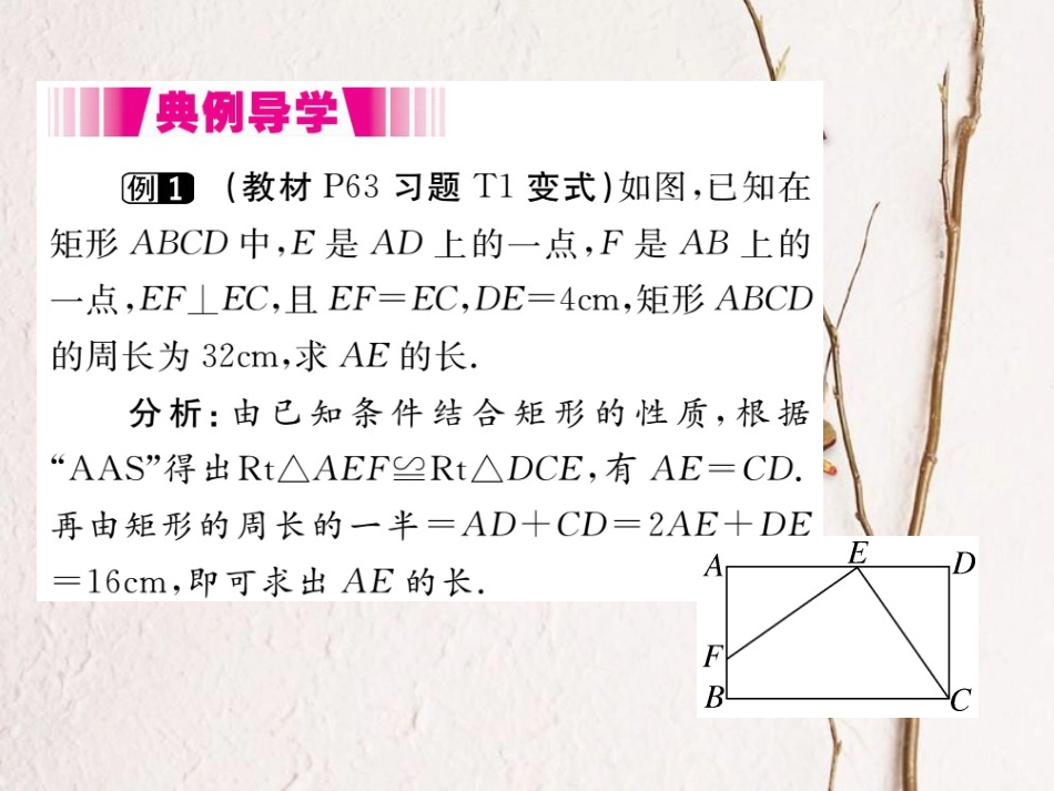 八年级数学下册 第二章 四边形 2.5 矩形 2.5.1 矩形的性质导学课件 （新版）湘教版_第3页