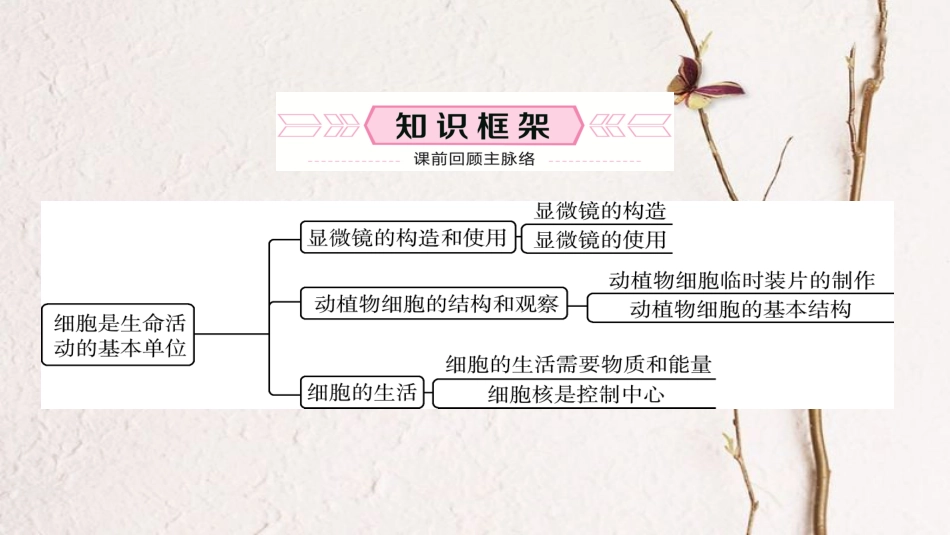 （泰安专版）中考生物总复习 七上 第二单元 第一章 细胞是生命活动的基本单位教材梳理课件_第2页