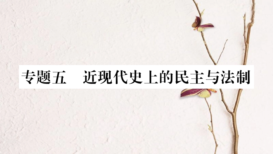 （广西北部湾专版）中考历史总复习 第二篇 知能综合提升 专题5 近现代史上的民主与法制课件 新人教版_第1页