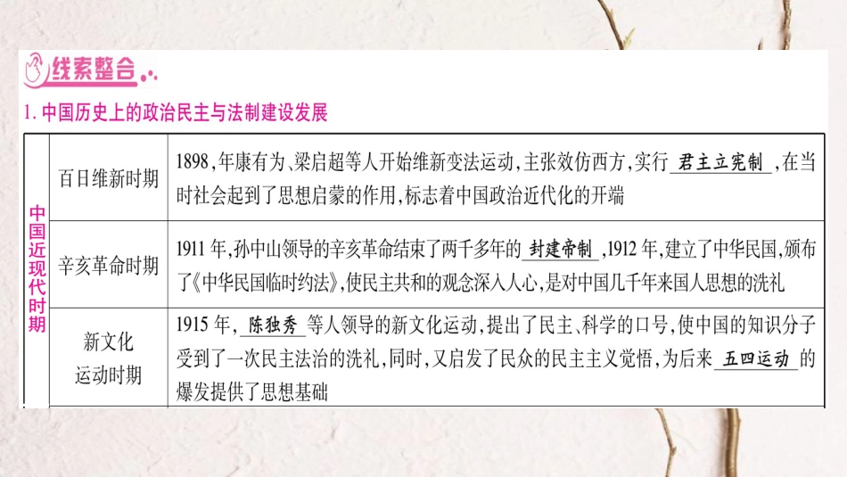 （广西北部湾专版）中考历史总复习 第二篇 知能综合提升 专题5 近现代史上的民主与法制课件 新人教版_第2页
