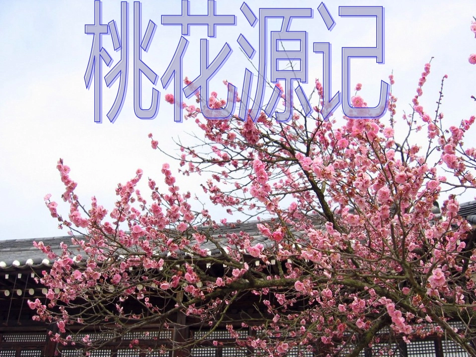 河南省原阳县九年级语文下册 第六单元 12《桃花源记》课件 北师大版_第1页