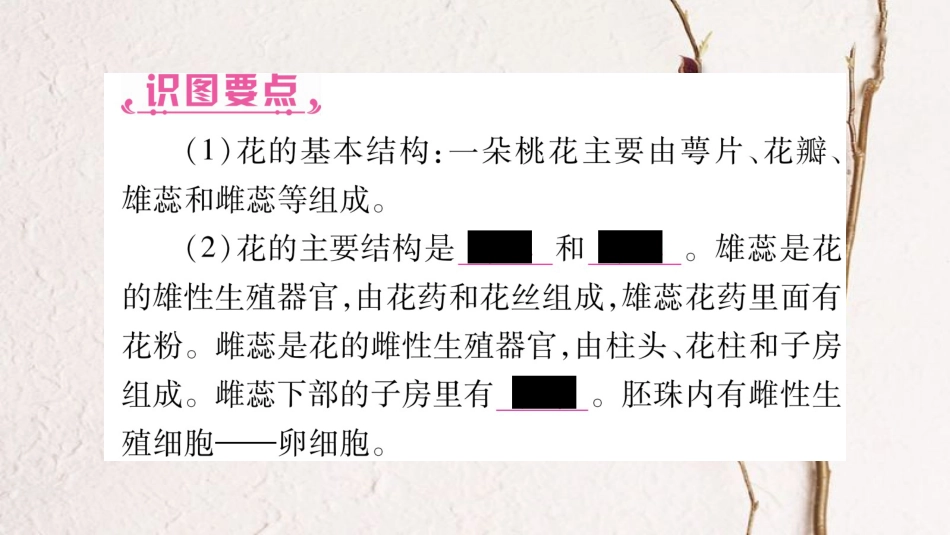 中考生物总复习 八下 第6单元 第1章 生物的繁殖教材考点梳理课件 冀教版_第3页