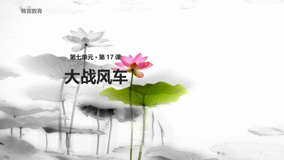 八年级语文下册 17《大战风车》教学课件 长春版(1)_第1页
