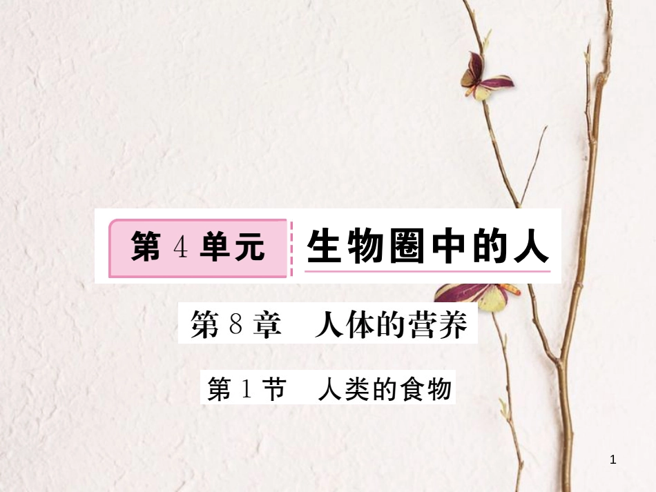 七年级生物下册 第8章 第1节 人类的食物课件1 （新版）北师大版(1)_第1页