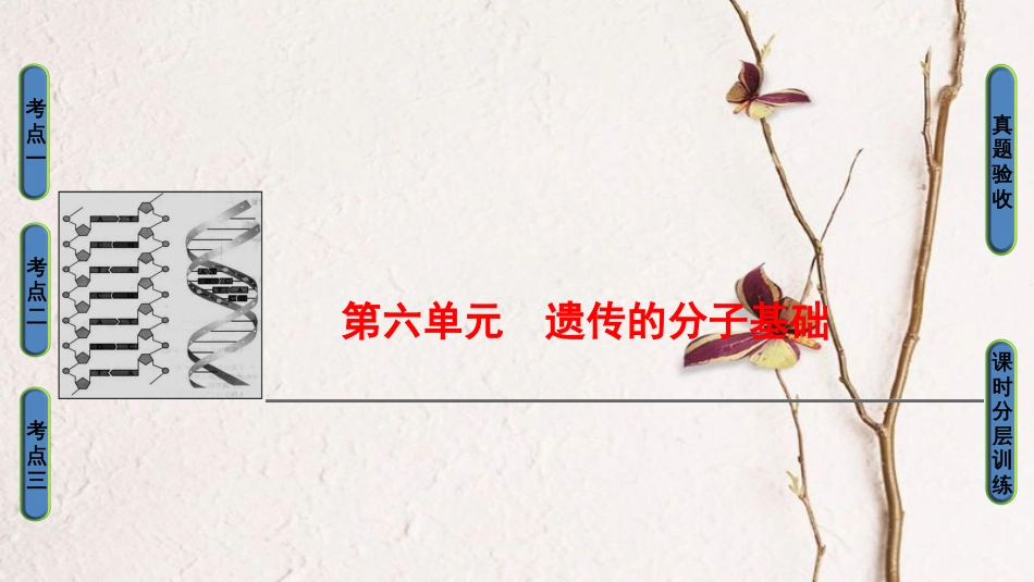 高三生物一轮复习 第6单元 第1讲 DNA是主要的遗传物质课件 新人教版必修2_第1页