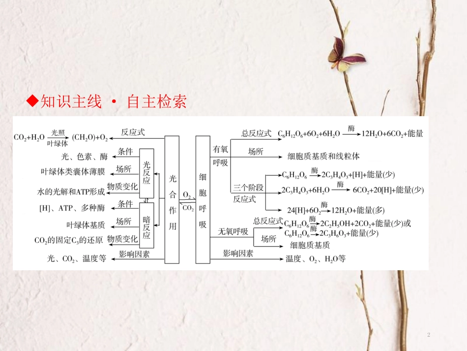 高考生物二轮复习 第二单元 生命系统的代谢基础 专题二 两大基础代谢——光合作用和呼吸作用课件(1)_第2页