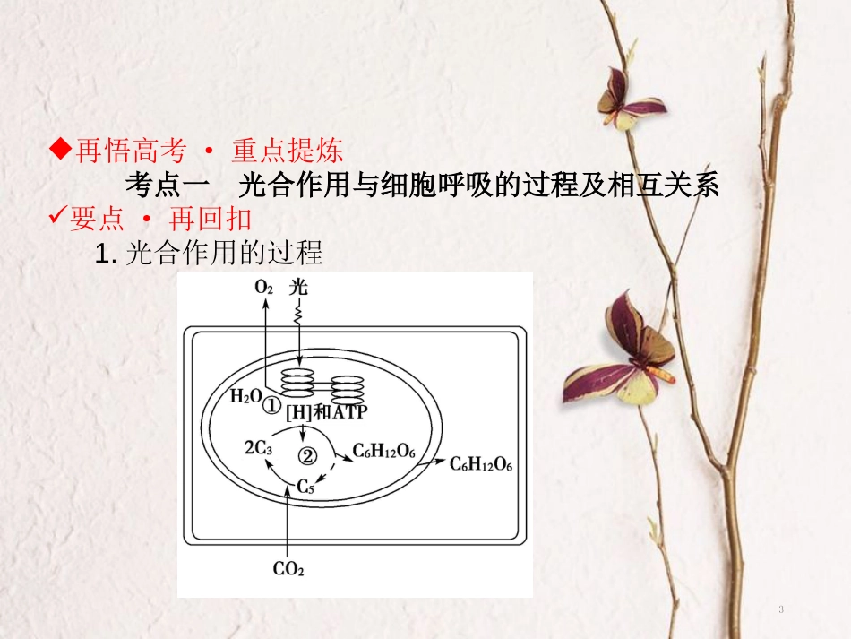 高考生物二轮复习 第二单元 生命系统的代谢基础 专题二 两大基础代谢——光合作用和呼吸作用课件(1)_第3页