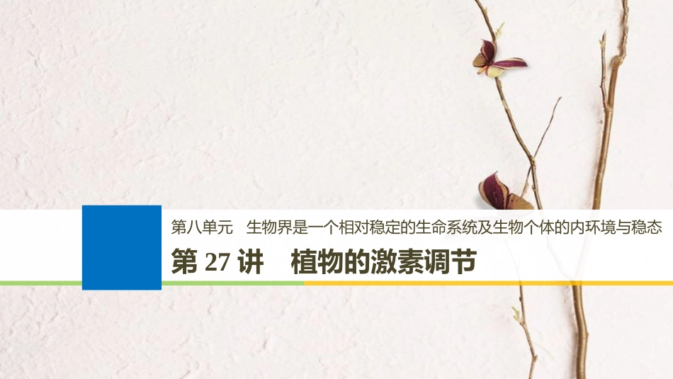 生物高考大一轮复习 第八单元 生物界是一个相对稳定的生命系统及生物个体的内环境与稳态 第27讲 植物的激素调节课件 北师大版(1)_第1页