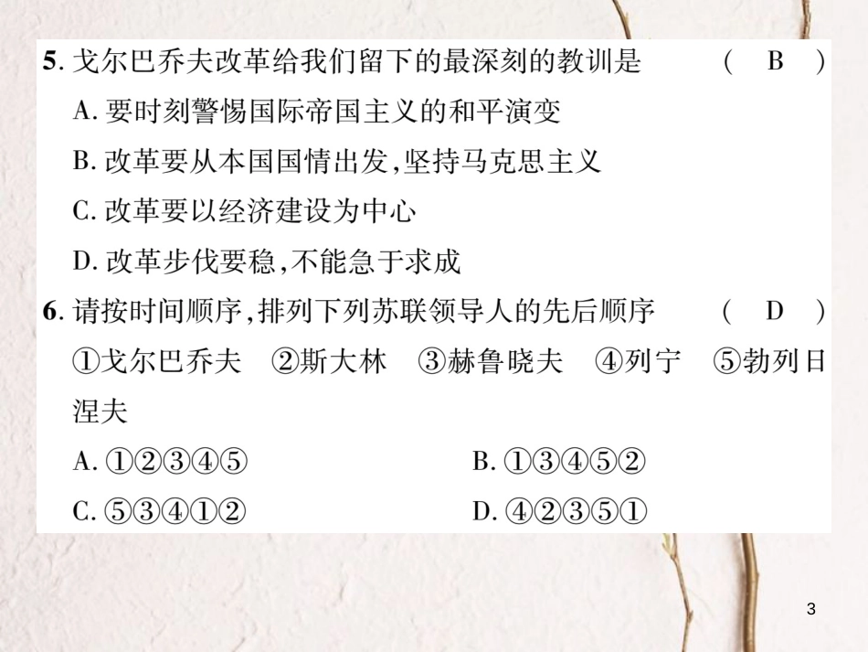 九年级历史下册 第五、六单元达标测试卷作业课件 岳麓版_第3页