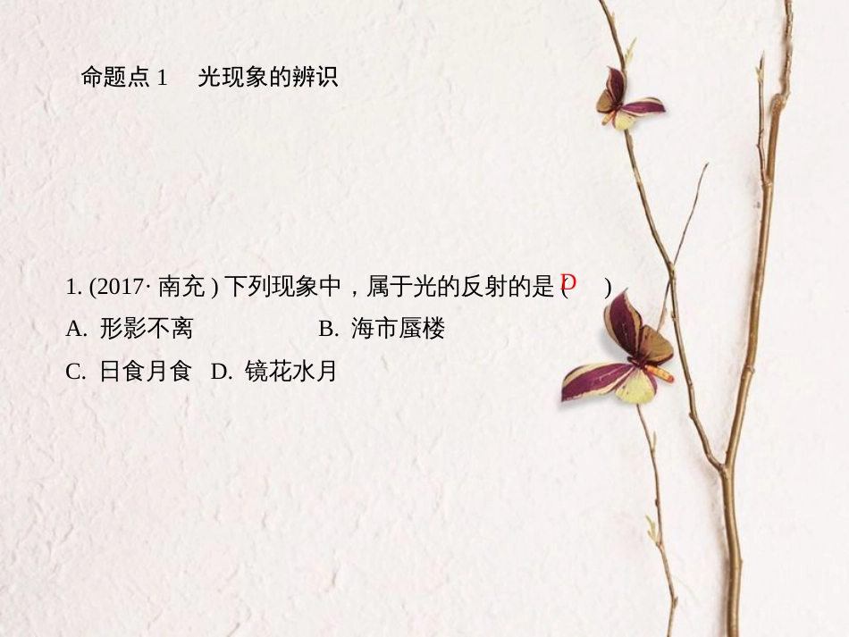 四川省中考物理复习 第2讲 光现象课件_第3页