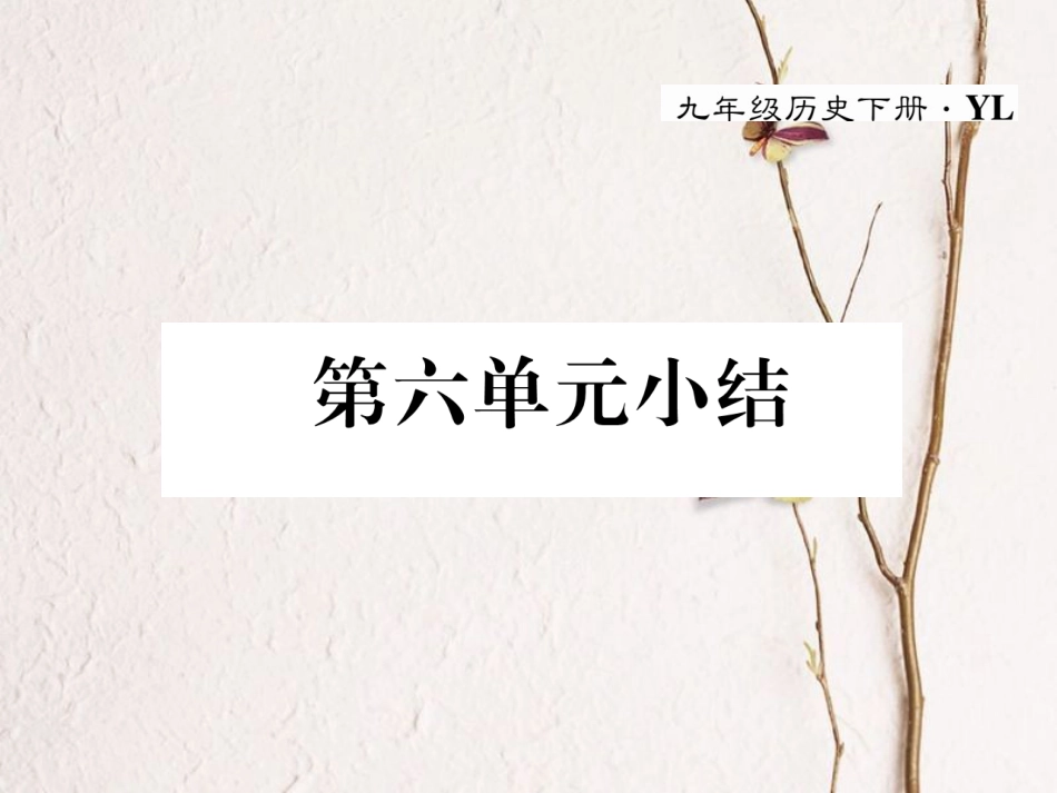 九年级历史下册 第六单元 亚非拉国家的的、独立和振兴小结作业课件 岳麓版(1)_第1页