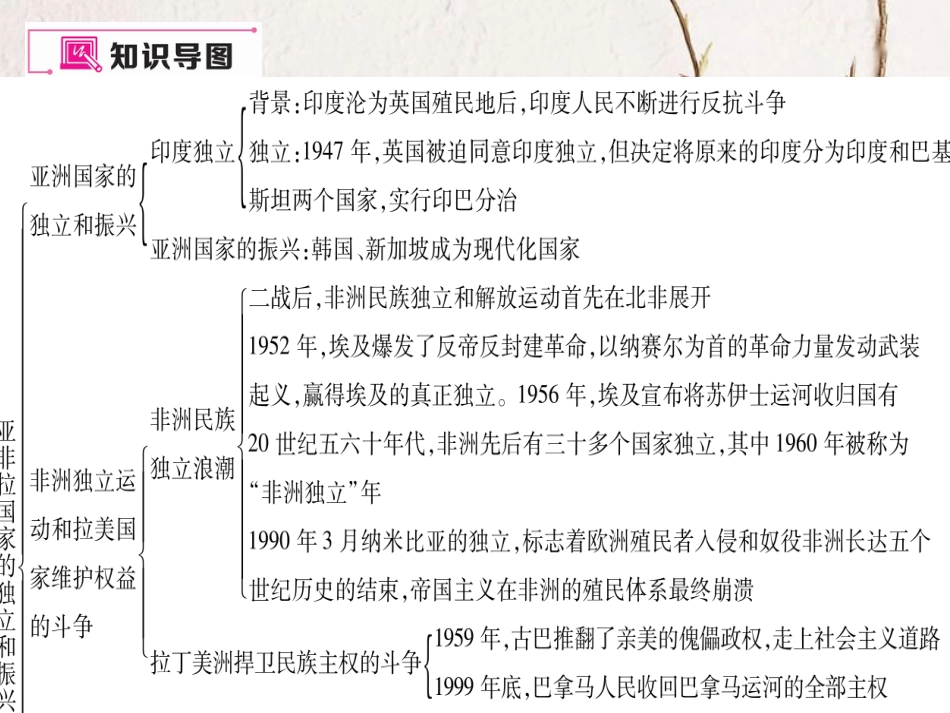 九年级历史下册 第六单元 亚非拉国家的的、独立和振兴小结作业课件 岳麓版(1)_第2页