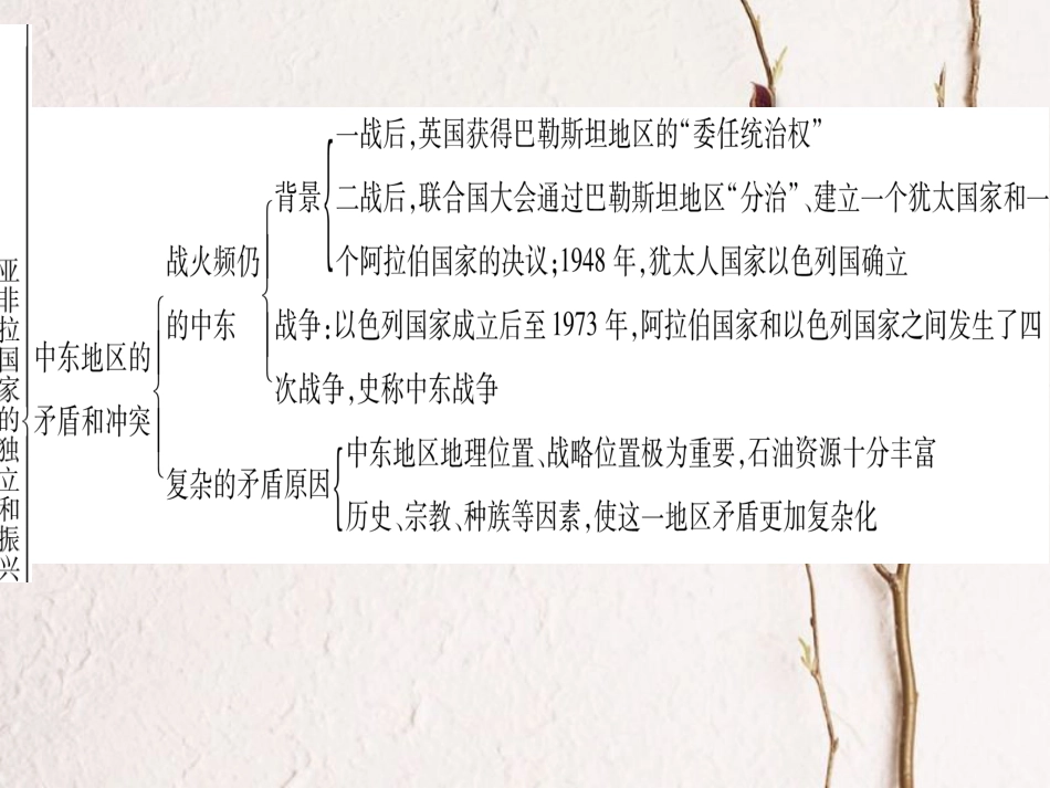 九年级历史下册 第六单元 亚非拉国家的的、独立和振兴小结作业课件 岳麓版(1)_第3页
