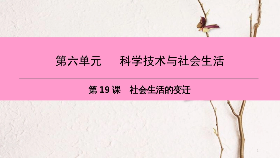 2018八年级历史下册 第六单元 第19课 社会生活的变迁课件 新人教版_第1页