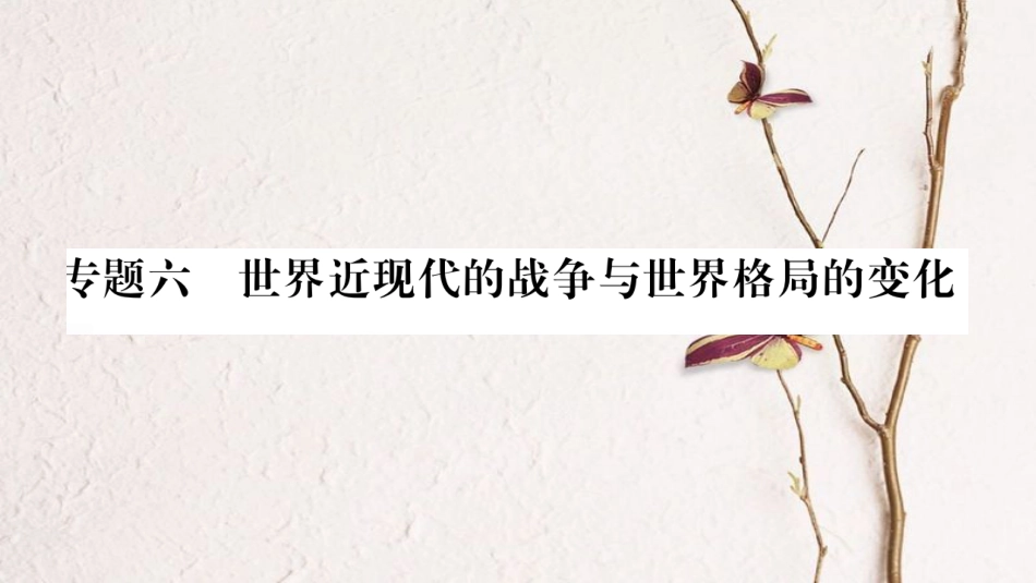 （达州专版）中考历史总复习 第二篇 知能综合提升 专题6 世界近现代的战争与世界格局的变化课件_第1页