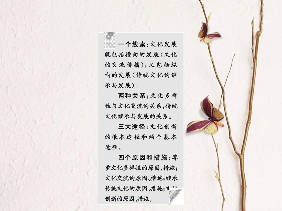 2019高三政治一轮复习 第二单元 文化传承与创新 3 文化的多样性与文化传播课件 新人教版必修3[共40页]_第3页