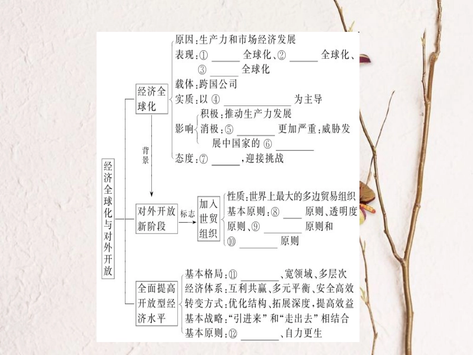 2019年高考政治一轮复习 第四单元 发展社会主义市场经济 11 经济全球化与对外开放课件 新人教版必修1[共58页]_第3页