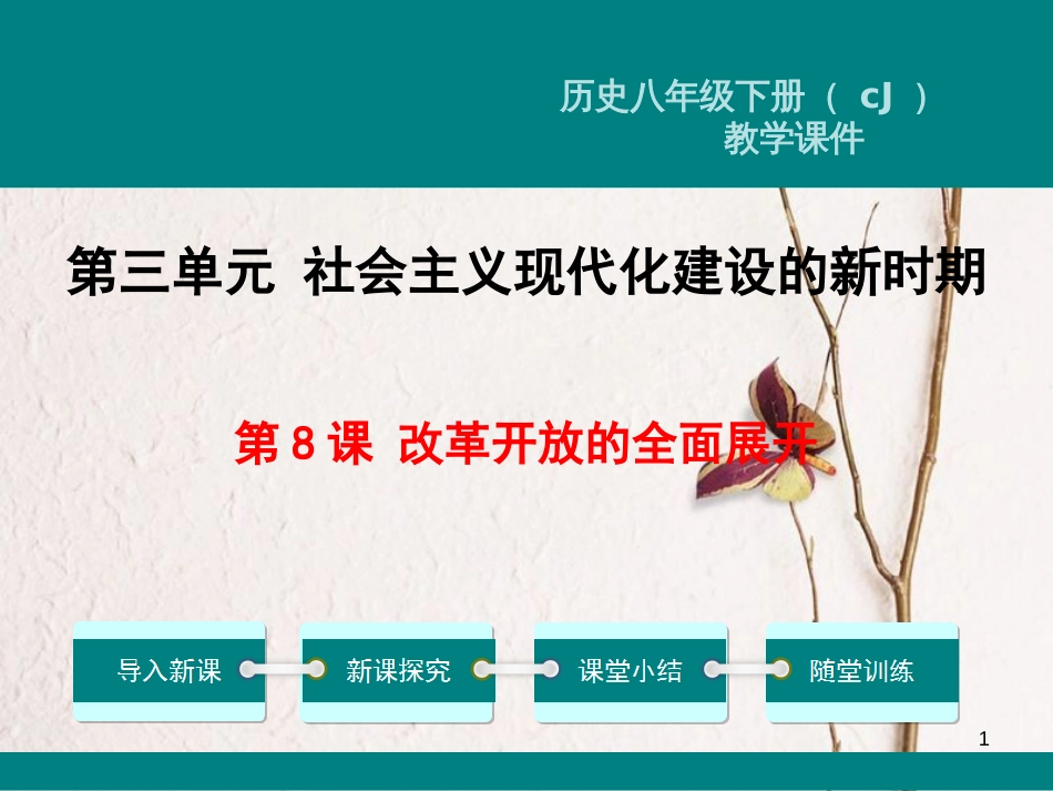 八年级历史下册 第三单元 社会主义现代化建设的新时期 第8课 改革开放的全面展开教学课件 川教版(1)_第1页