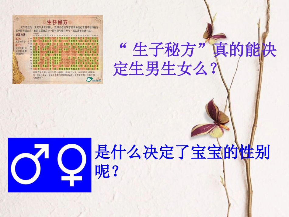 新疆八年级生物下册 第7单元 第2章 第四节人的性别遗传课件 （新版）新人教版(1)_第3页