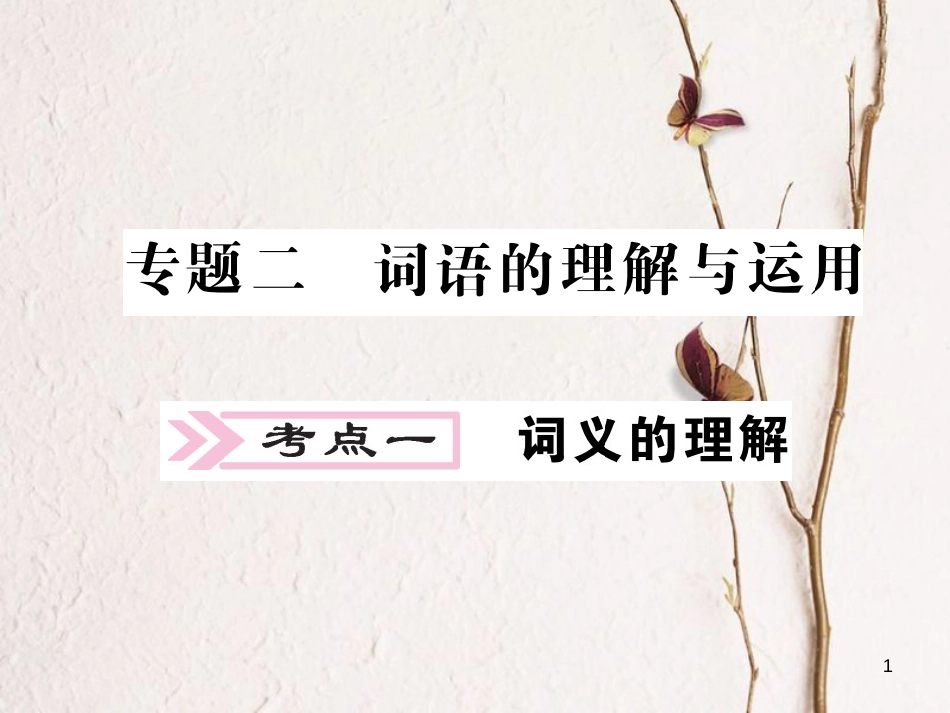 中考语文二轮复习 专题突破讲读 第1部分 语言积累与运用 专题二 词语的理解与运用课件(1)_第1页