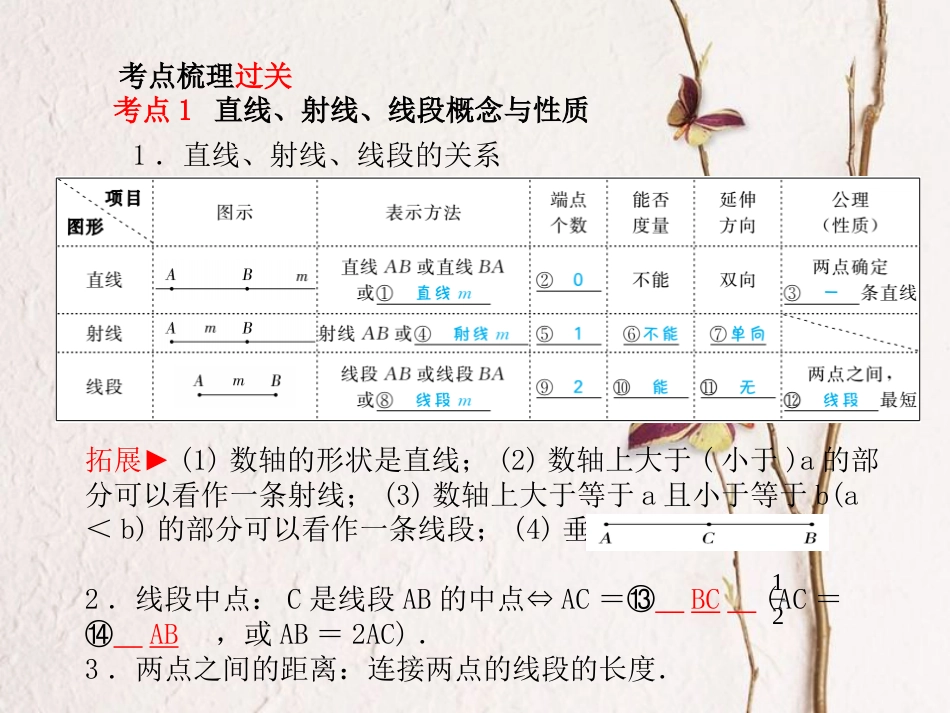 山东省滨州市中考数学复习 第四章 图形的认识与三角形 第13讲 相交线与平行线课件_第2页