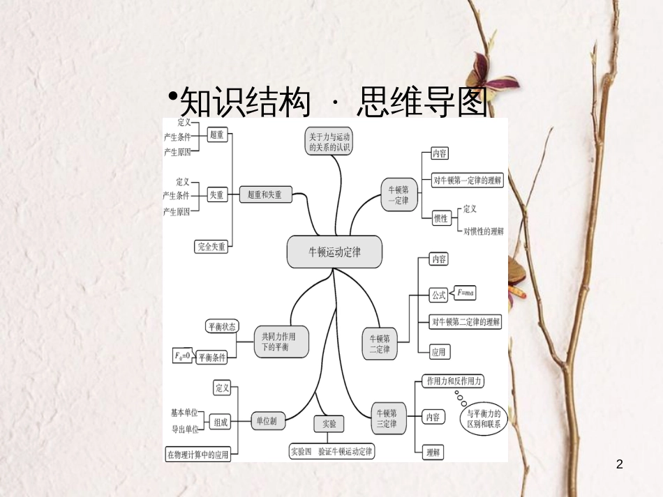 高考物理一轮总复习 专题3 牛顿运动定律专题热点综合课件(1)_第2页