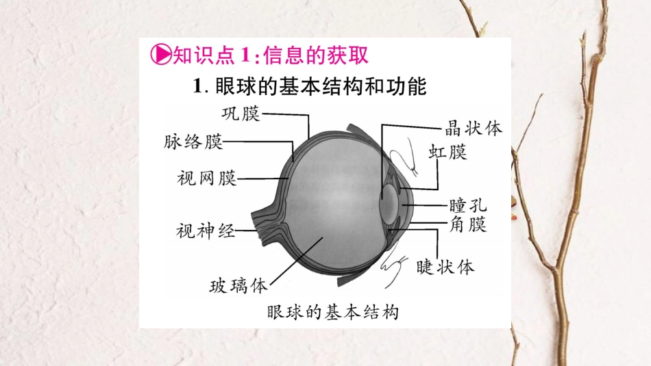 中考生物总复习 七下 第2单元 第4、5章教材考点梳理课件 冀教版(1)_第2页