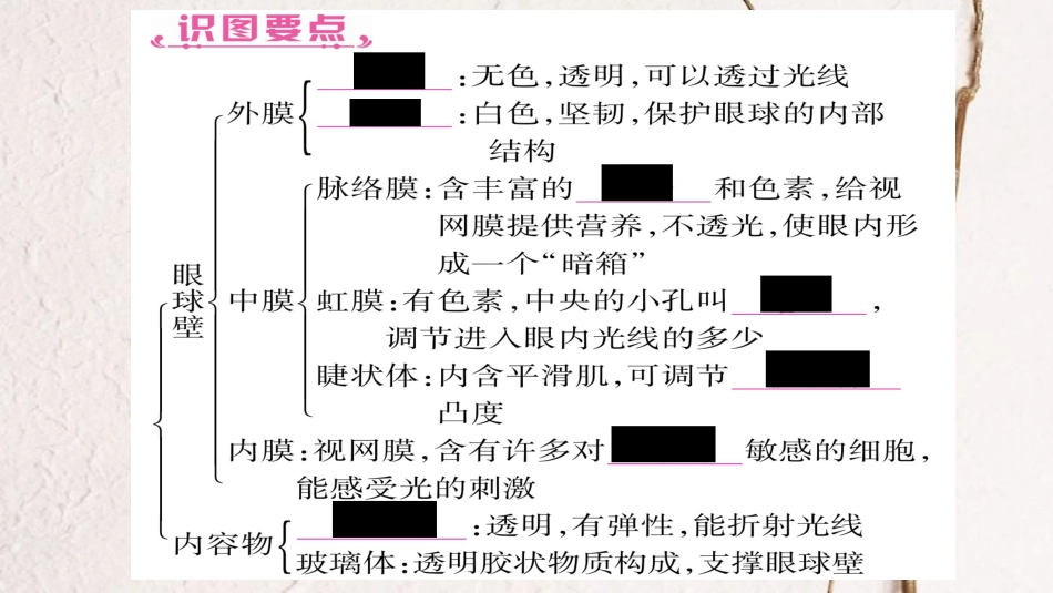 中考生物总复习 七下 第2单元 第4、5章教材考点梳理课件 冀教版(1)_第3页