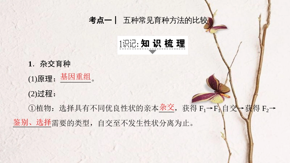 高三生物一轮复习 第7单元 第3讲 从杂交育种到基因工程课件 新人教版必修2_第2页
