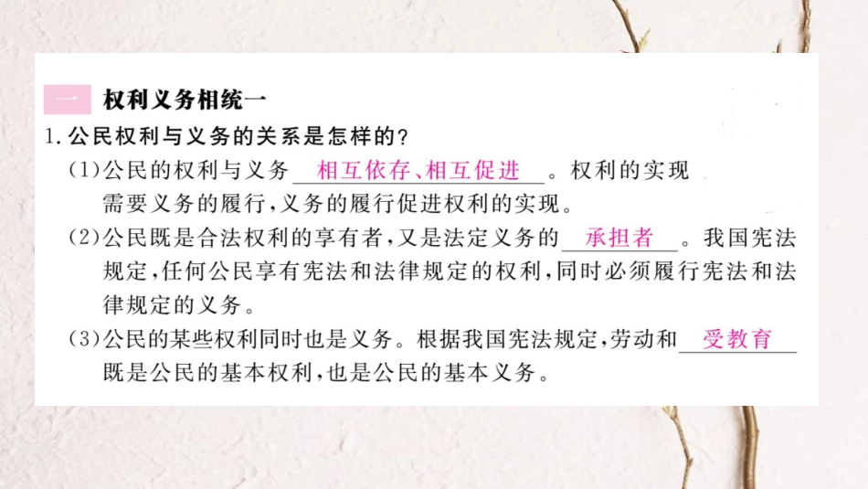 八年级道德与法治下册 第二单元 理解权利义务 第四课 公民义务 第2框 依法履行义务习题讲评课件 新人教版_第2页