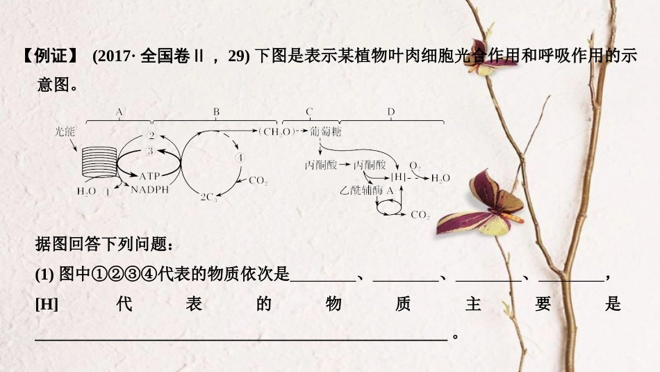 2019版高考生物一轮复习 第一单元 有机体中的细胞 考点加强课1 光合作用与呼吸作用的关系级影响因素创新备考课件 中图版_第3页