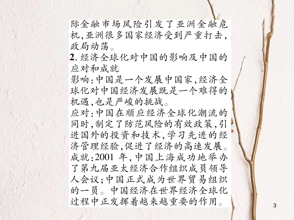 九年级历史下册 第七单元 战后世界格局的演变 第16课 世界经济的“全球化”作业课件2 新人教版_第3页