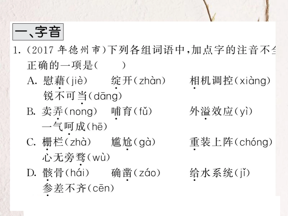 中考语文二轮复习 专题突破讲读 第1部分 语言积累与运用 专题一字音 字形与书写课件(1)_第2页
